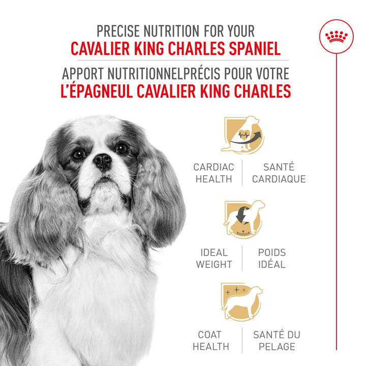 Nourriture sèche pour chiens adultes Cavalier King Charles