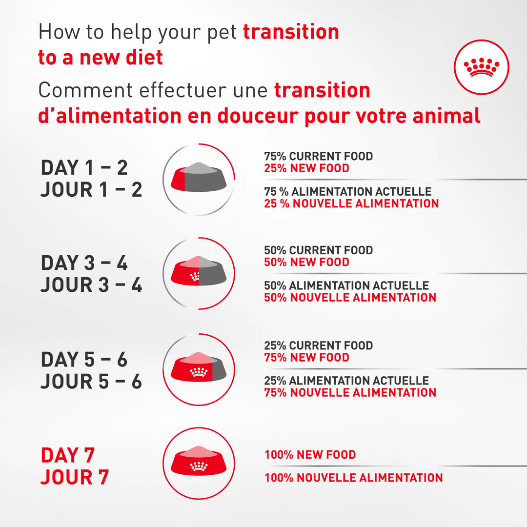 Nourriture humide en conserve pour chiens Bouledogue Français adultes