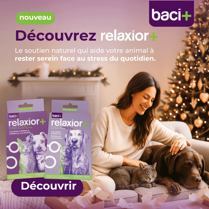 Supplément Relaxior+ apaisant contre le stress pour chiens et chats de 10 kg et moins