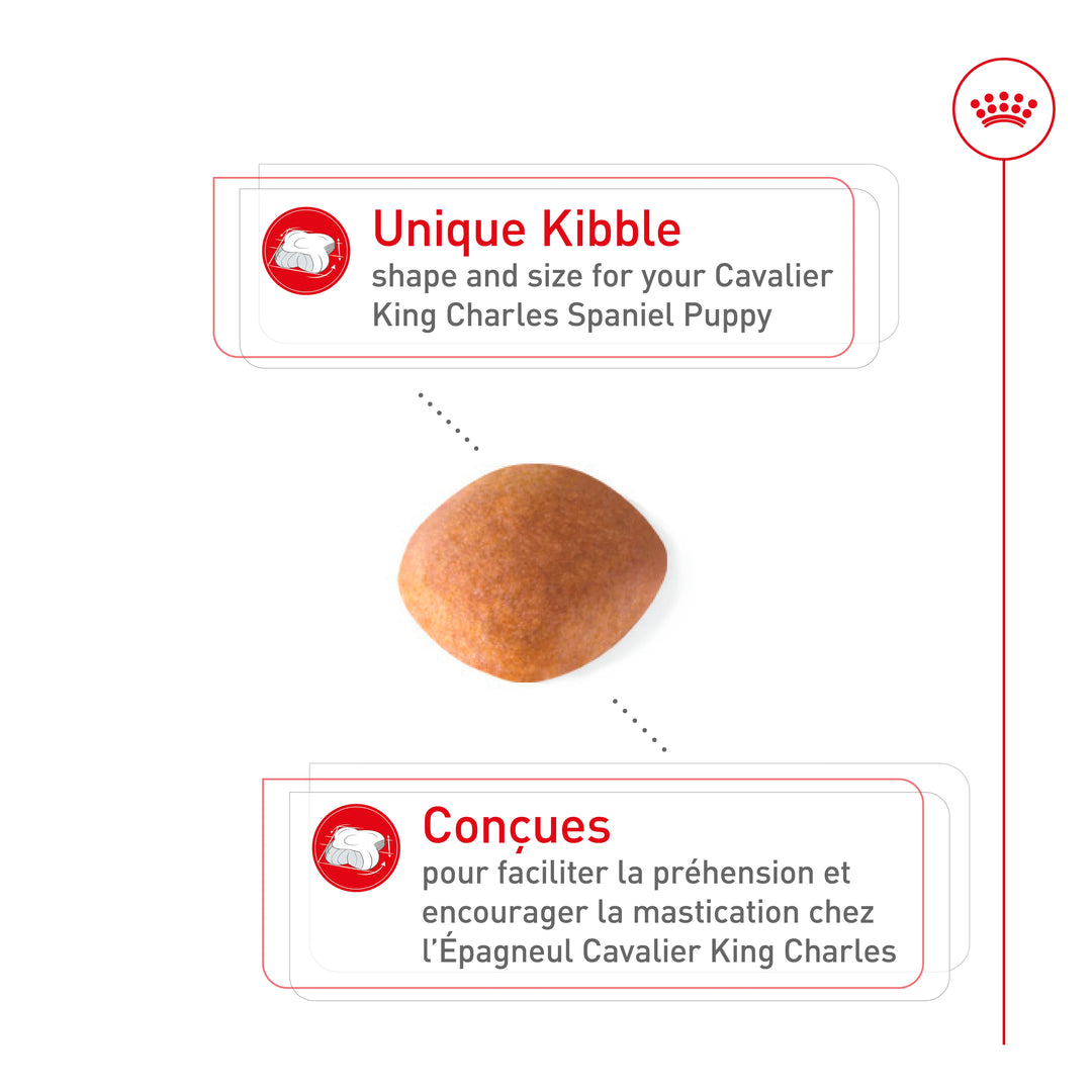 Dry food for Cavalier King Charles Spaniel puppies