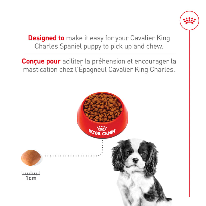 Dry food for Cavalier King Charles Spaniel puppies