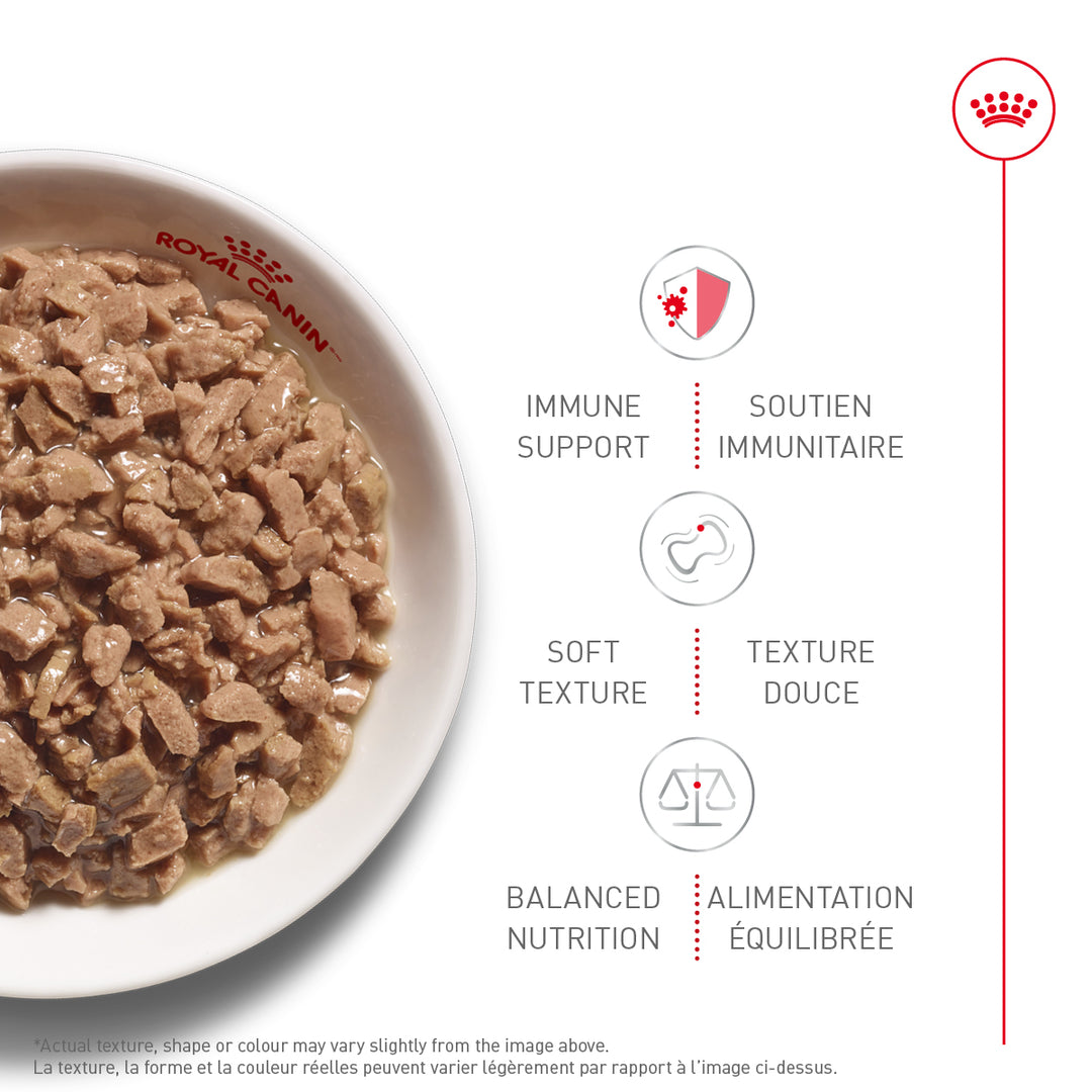 Royal Canin Kitten Wet Pâté in Sauce