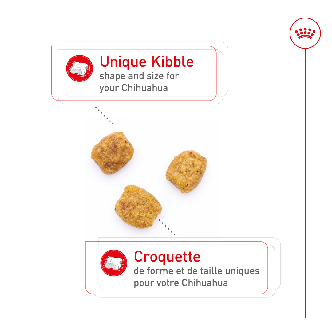 Royal Canin Chien Adulte Nourriture Sèche Chihuahua