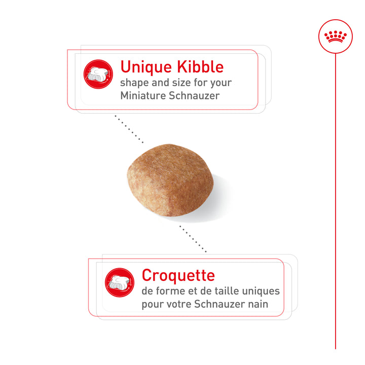 Royal Canin Chien Adulte Nourriture Sèche Schnauzer Nain