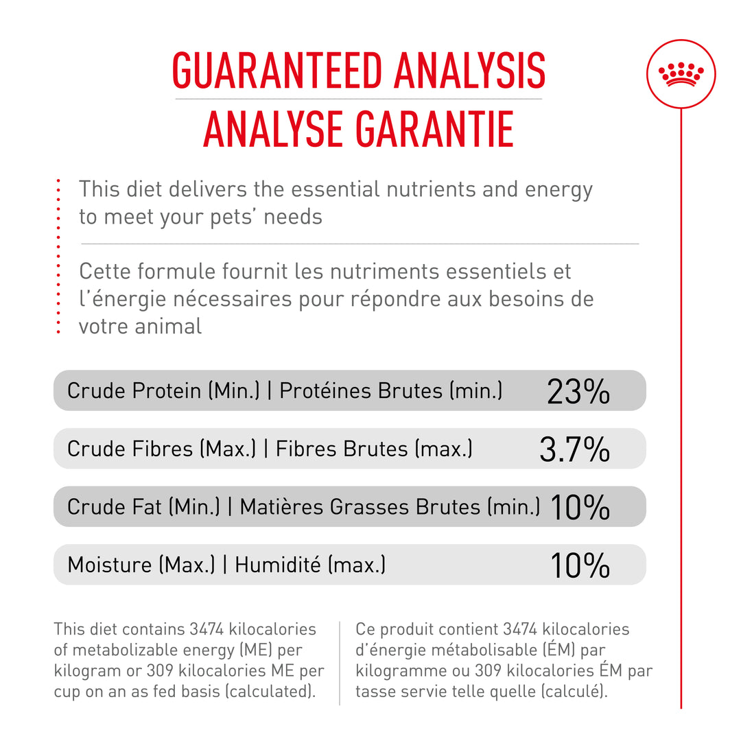 Royal Canin Chien Adulte Nourriture Sèche Schnauzer Nain