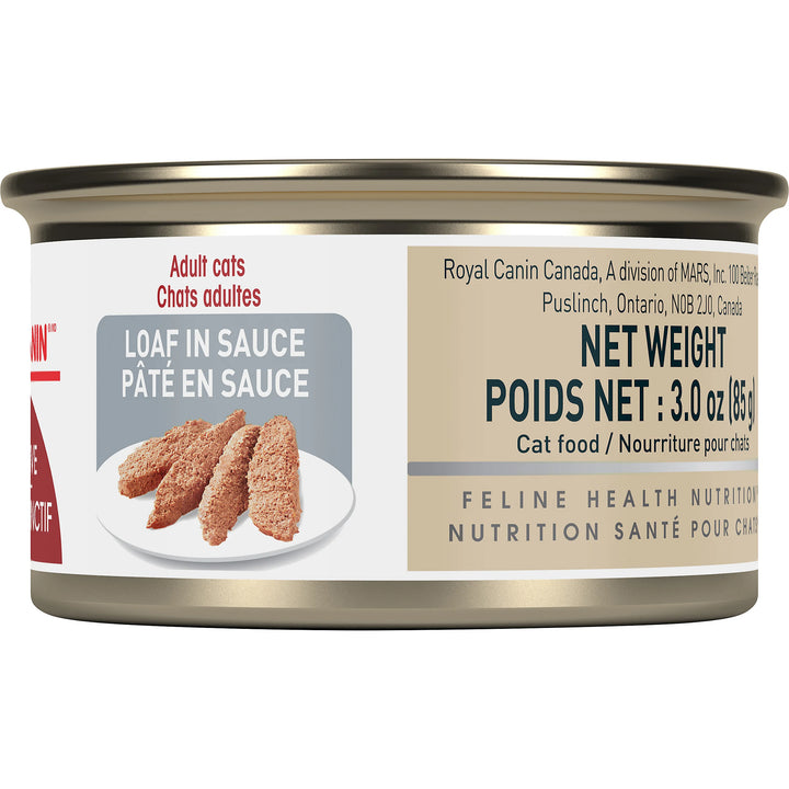 Nourriture humide en pâté et sauce pour chats adultes
