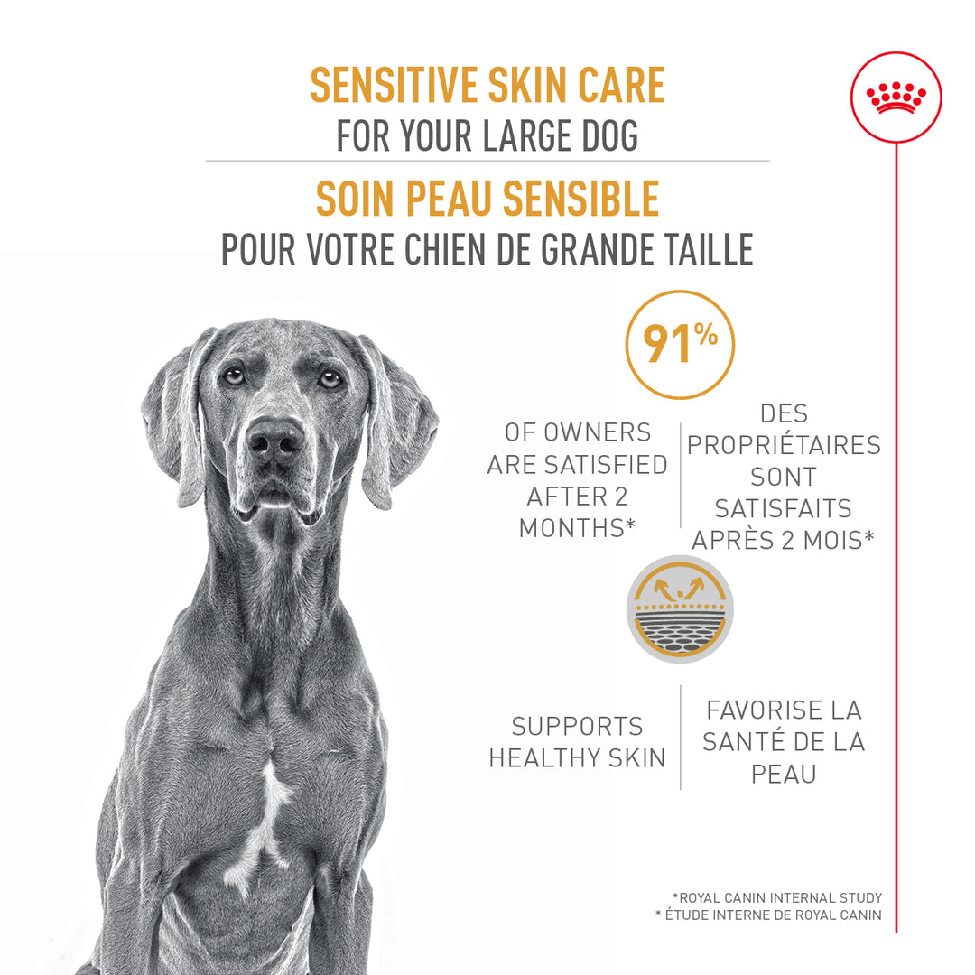 Royal Canin Chien Adulte Nourriture Sèche Grand (Peau Sensible)
