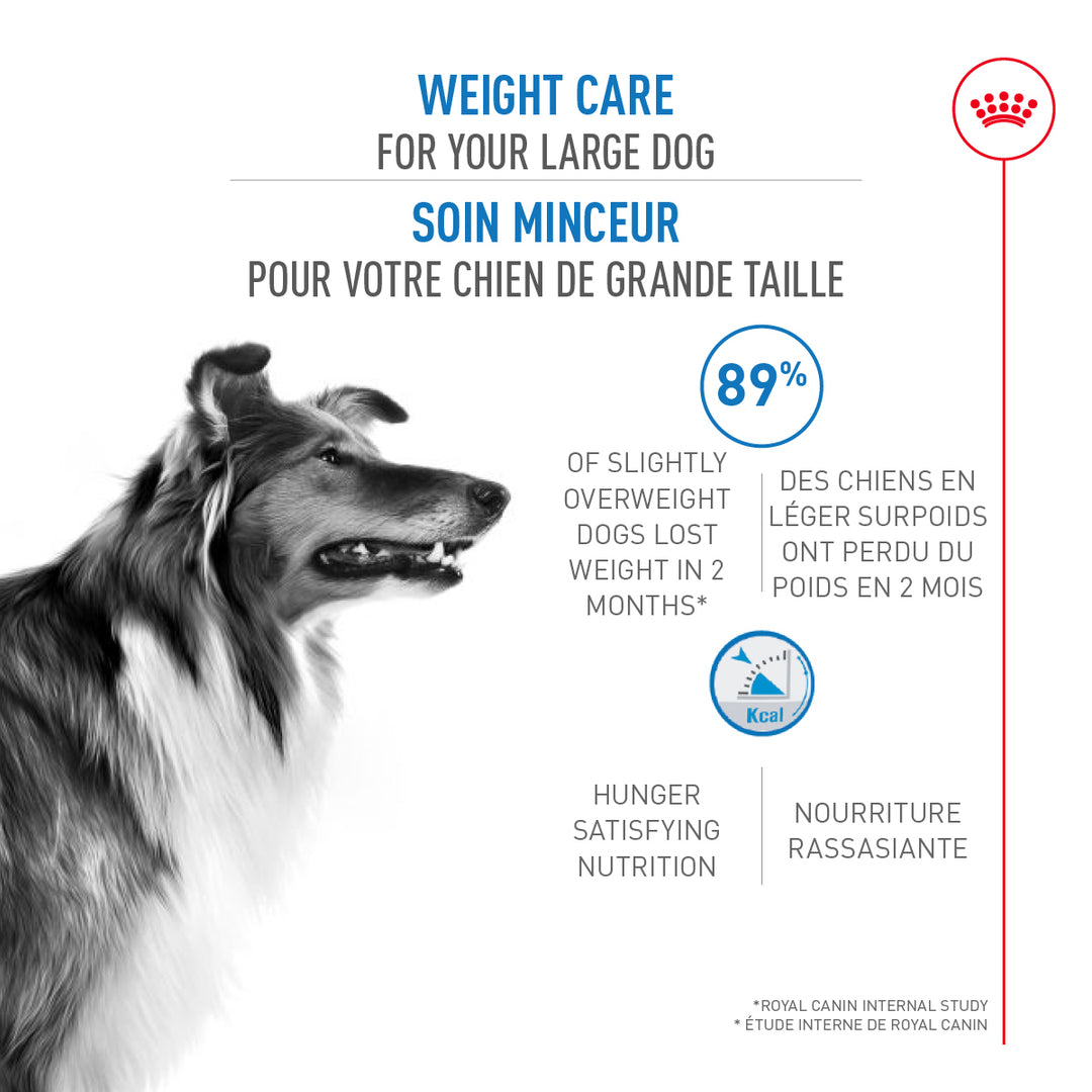 Royal Canin Chien Adulte Nourriture Sèche Grand (Soin Minceur)