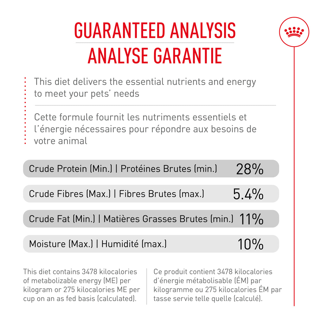 Royal Canin Chien Adulte Nourriture Sèche Labrador Retriever