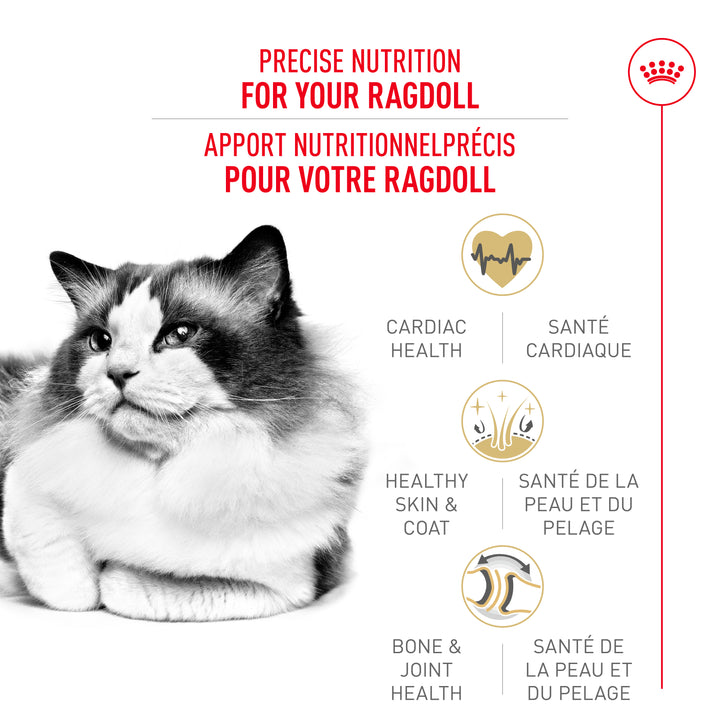 Royal Canin Chat Nourriture Sèche Adulte Ragdoll