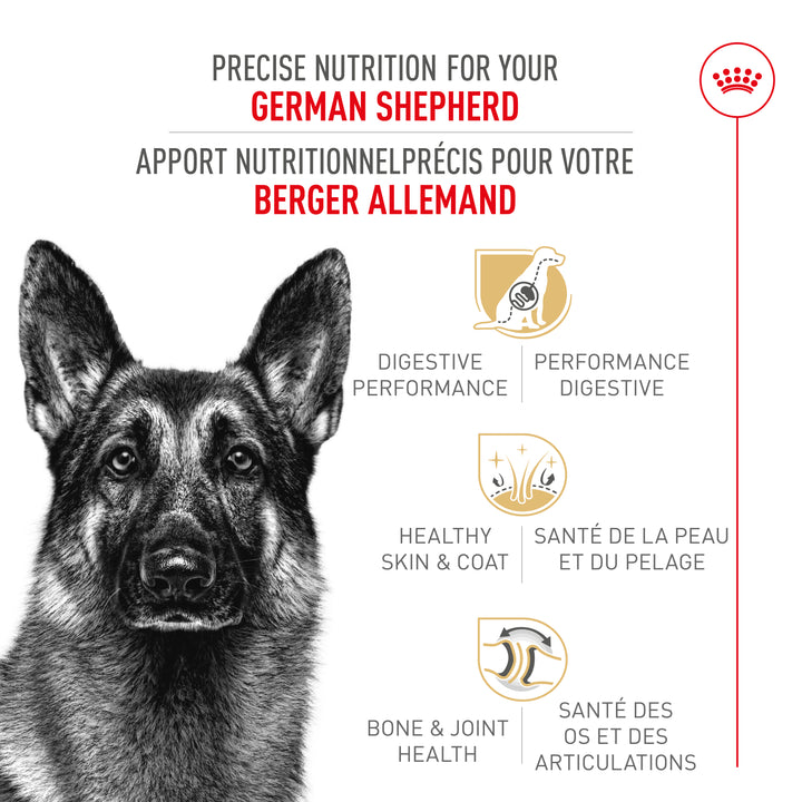 Royal Canin Chien Adulte Nourriture Sèche Berger Allemand