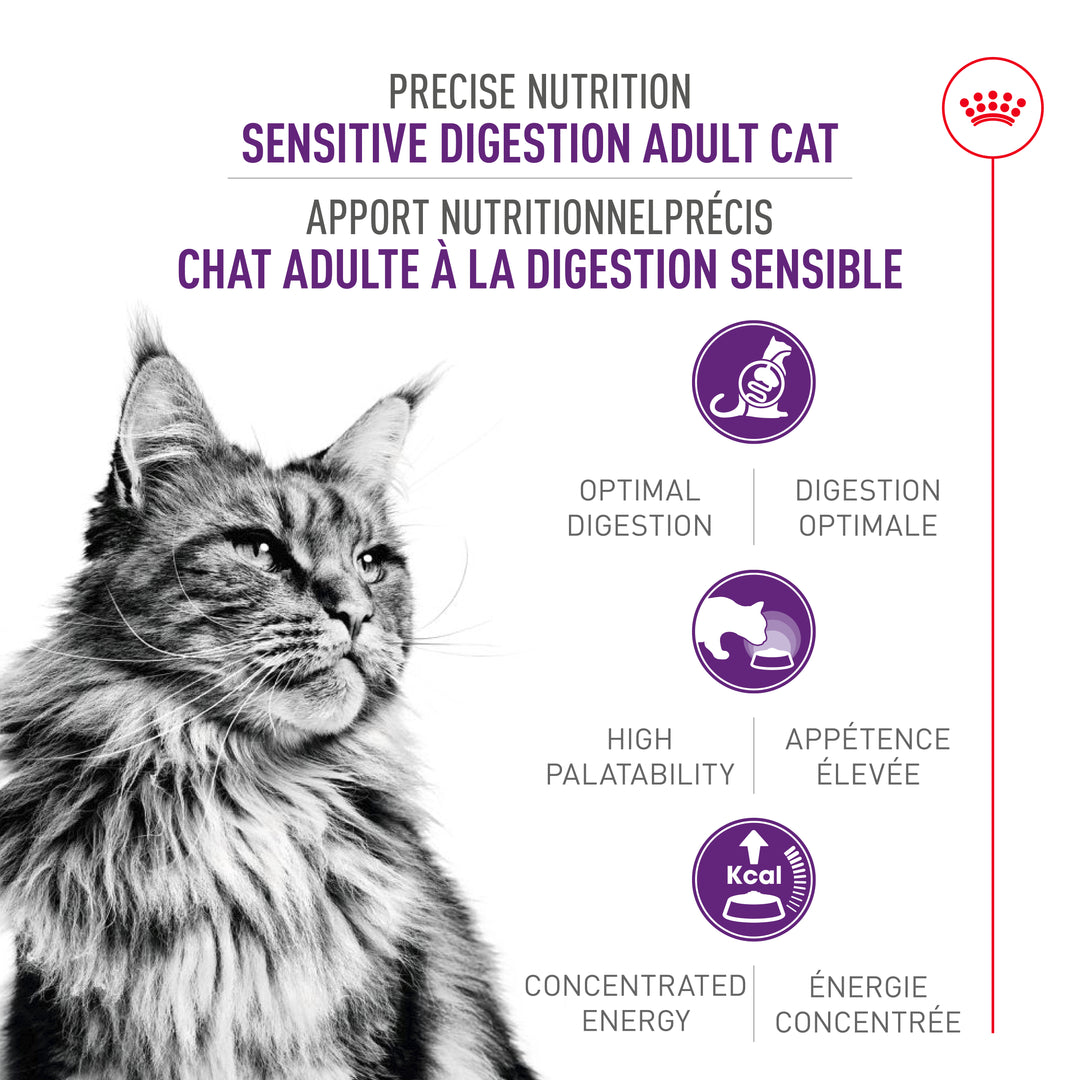Royal Canin Chat Nourriture Sèche Digestion Sensible