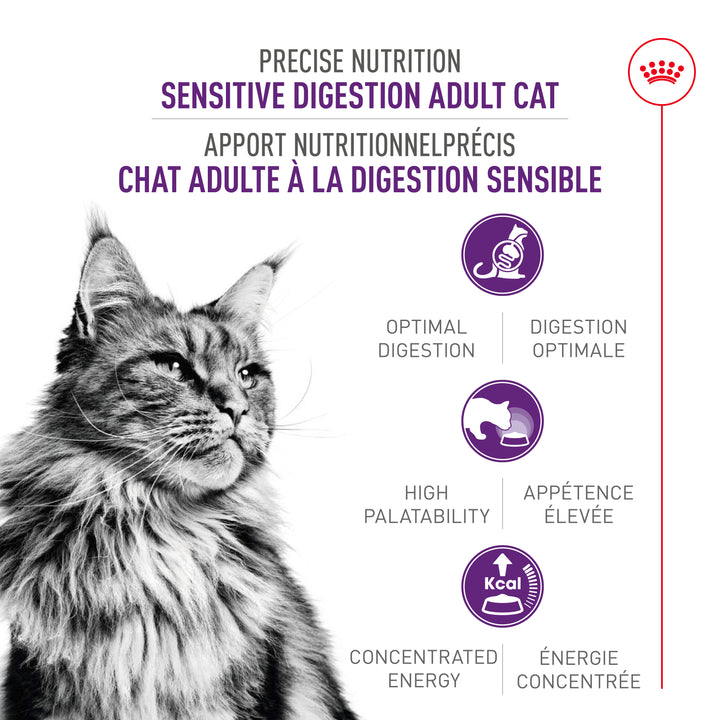 Royal Canin Chat Nourriture Sèche Digestion Sensible