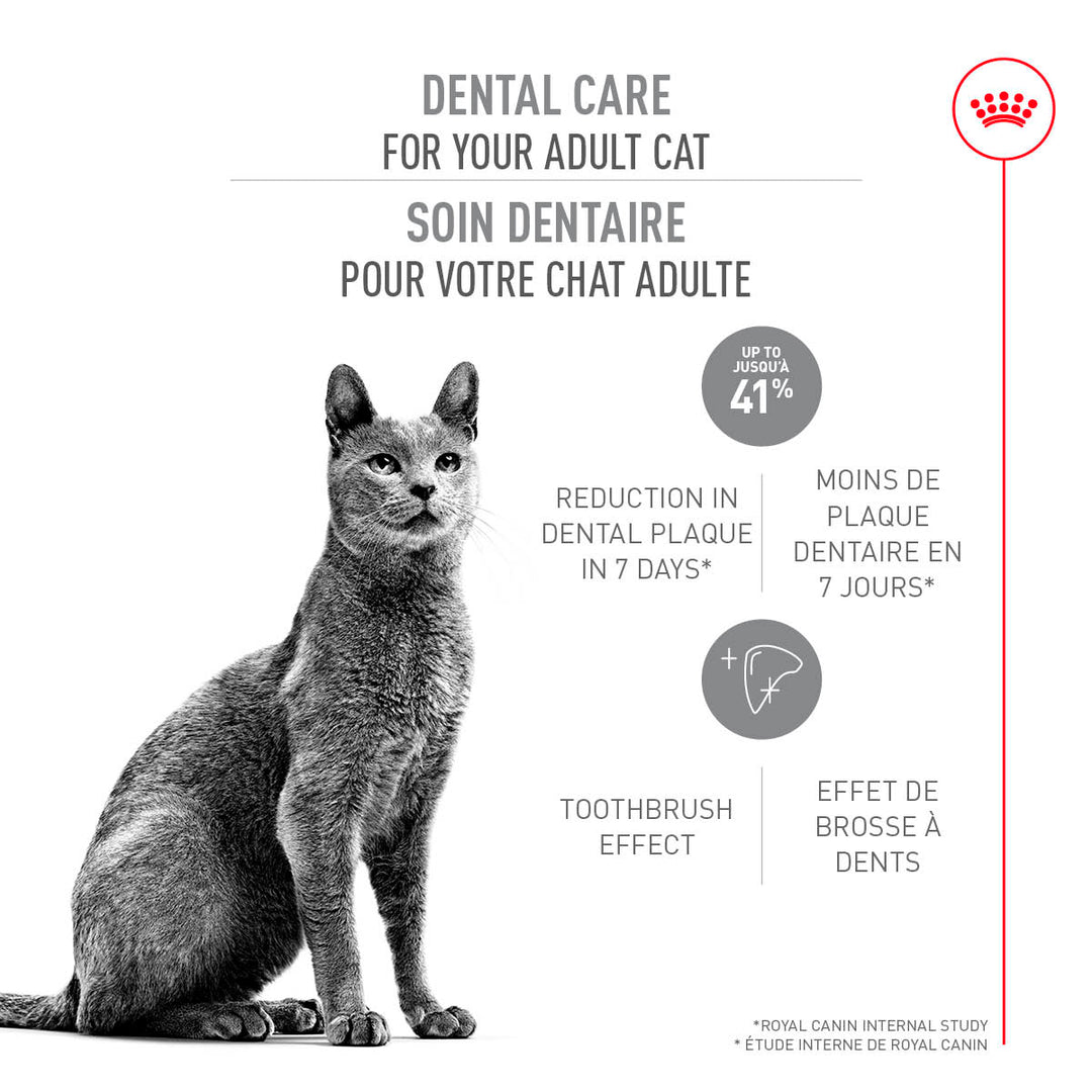 Royal Canin Chat Nourriture Sèche Soin Dentaire