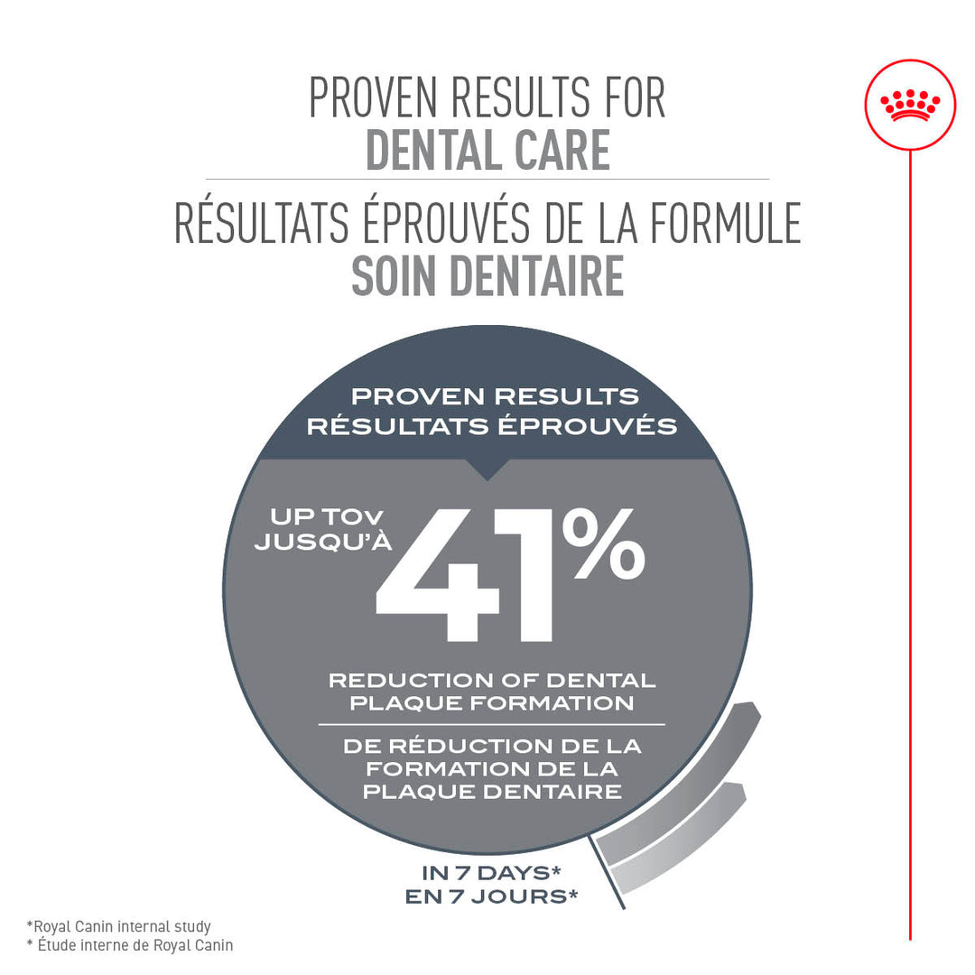 Royal Canin Chat Nourriture Sèche Soin Dentaire