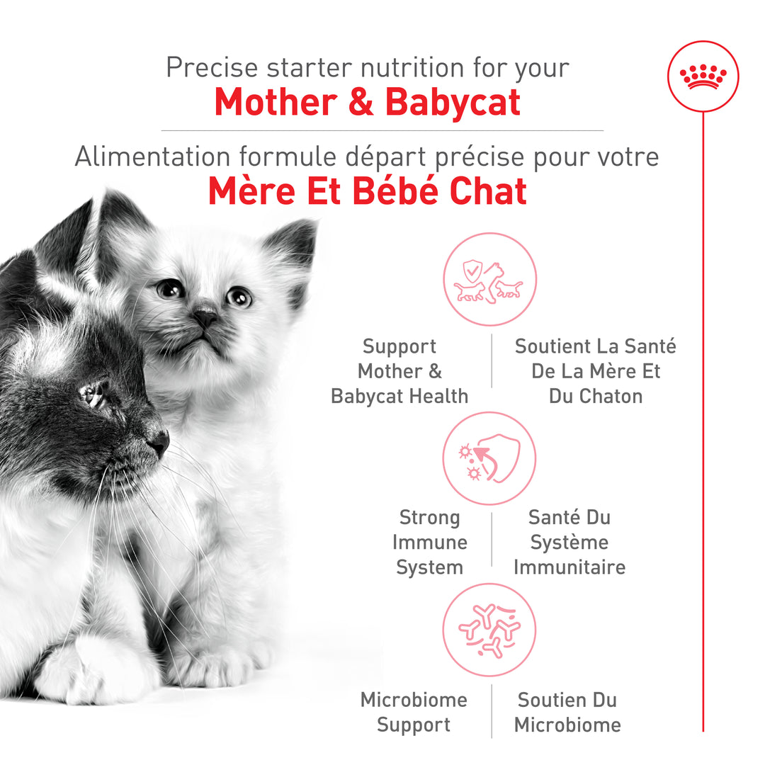 Royal Canin Nourriture Sèche Mère Et Bébé Chat