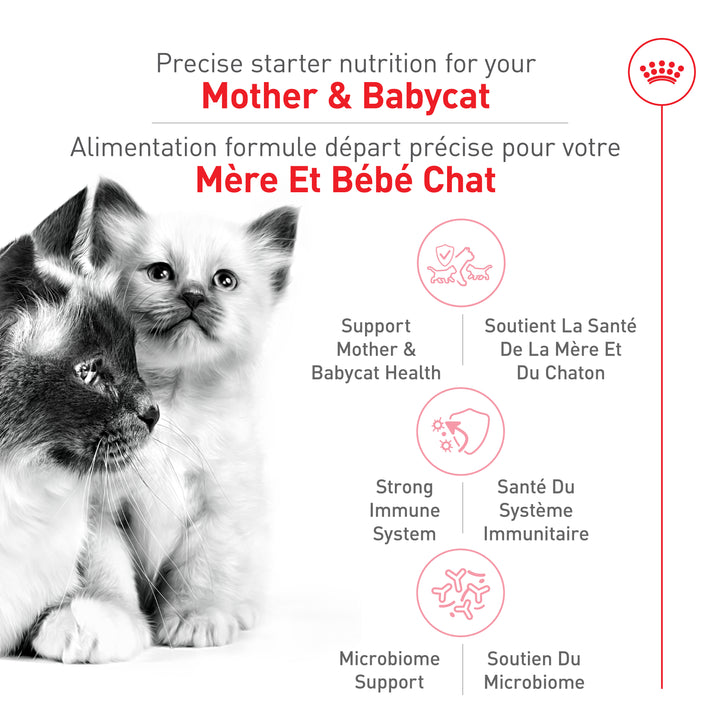 Royal Canin Nourriture Sèche Mère Et Bébé Chat