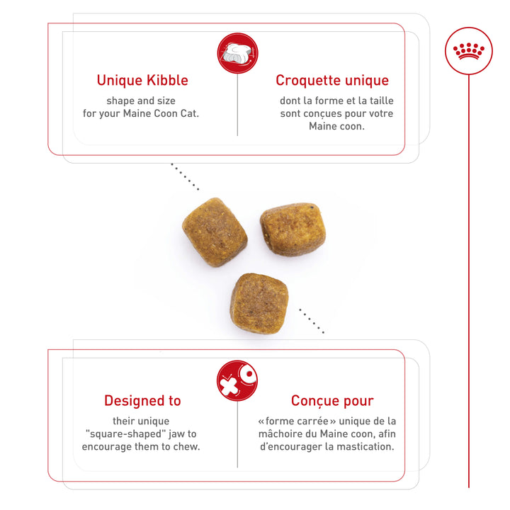 Royal Canin Chat Nourriture Sèche Adulte Maincoon