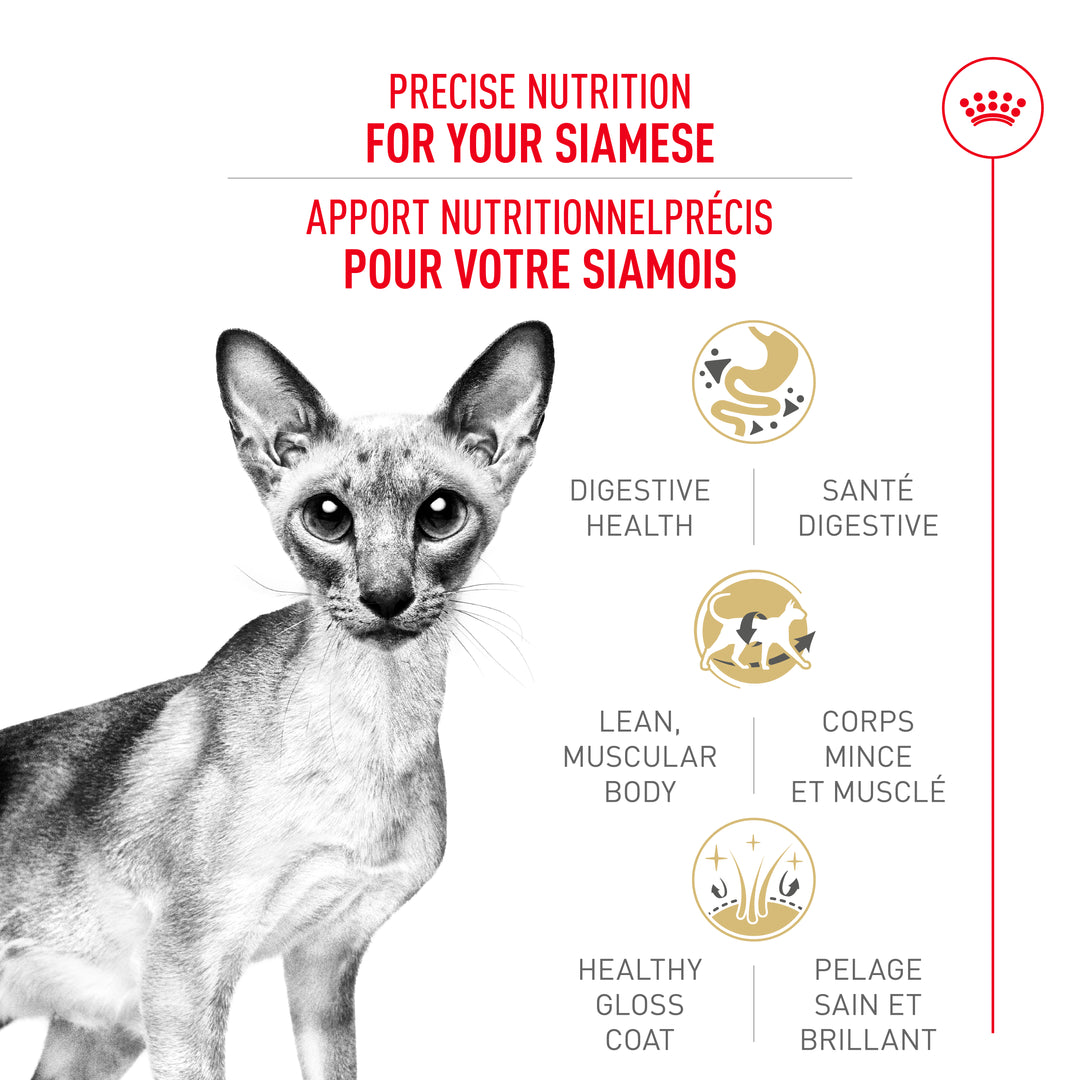 Royal Canin Chat Nourriture Sèche Adulte Siamois