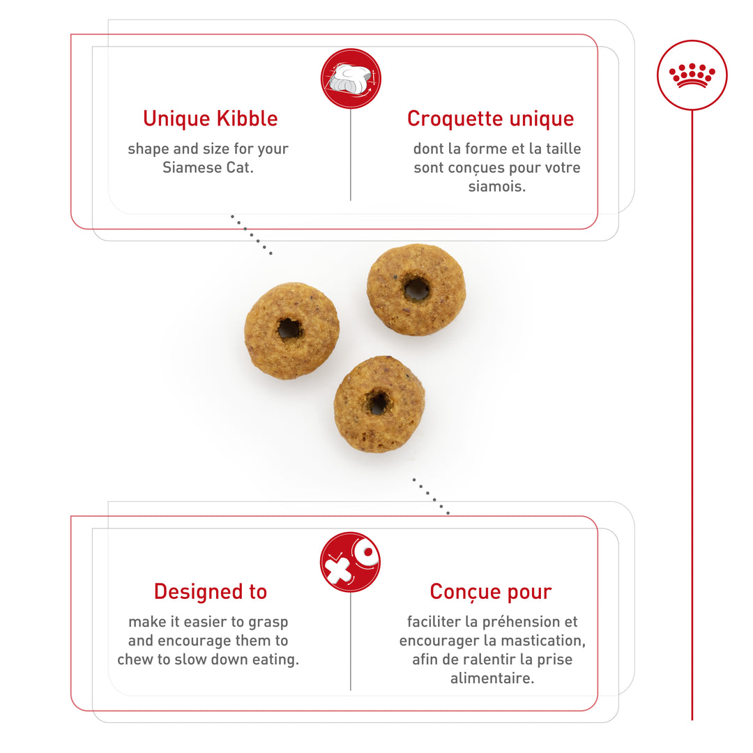 Royal Canin Chat Nourriture Sèche Adulte Siamois