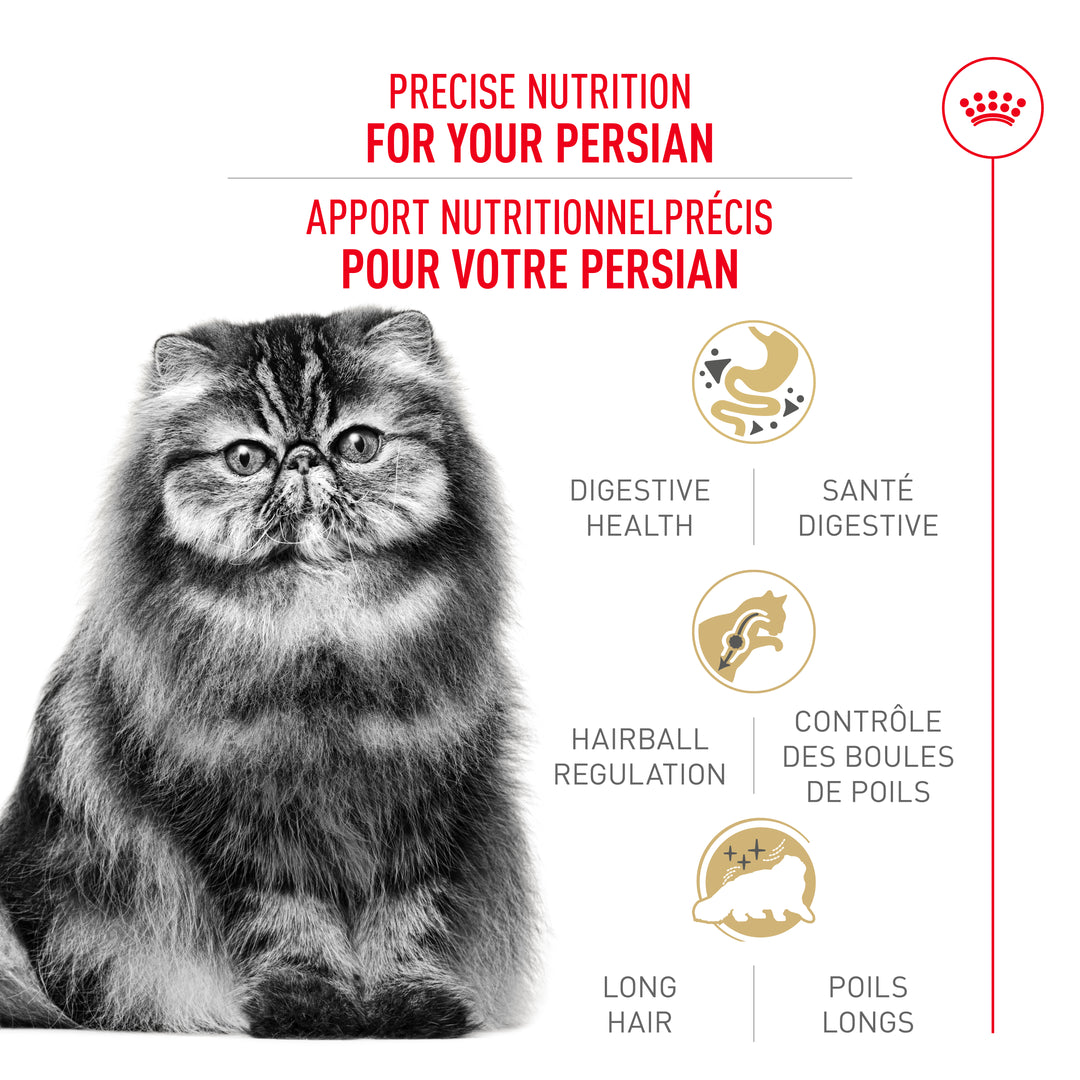 Royal Canin Chat Nourriture Sèche Adulte Persan