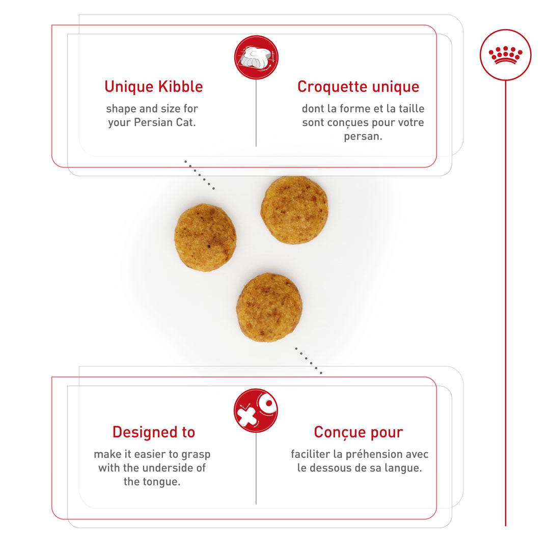 Royal Canin Chat Nourriture Sèche Adulte Persan