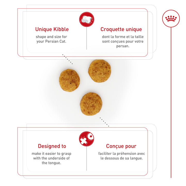 Royal Canin Chat Nourriture Sèche Adulte Persan