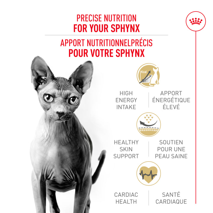 Royal Canin Chat Nourriture Sèche Adulte Sphynx