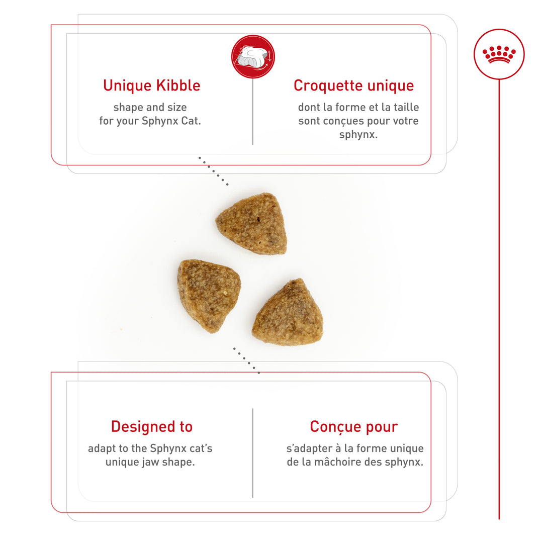 Royal Canin Chat Nourriture Sèche Adulte Sphynx