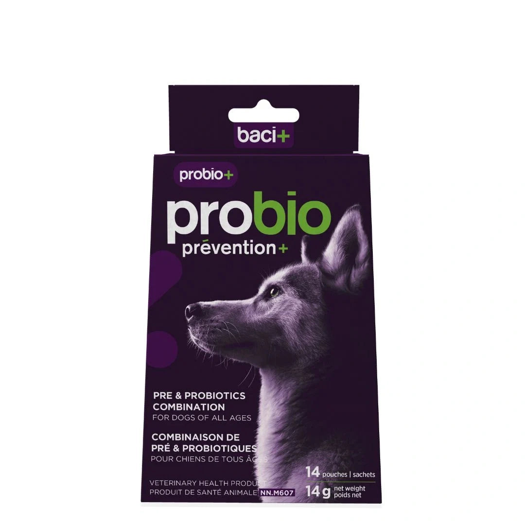 Supplément Probio+ de pré et probiotiques pour la santé intestinale et immunitaire des chiens et chiots