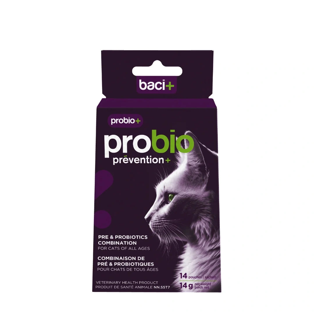 Supplément Probio+ de pré et probiotiques pour la santé intestinale et immunitaire des chats et chatons
