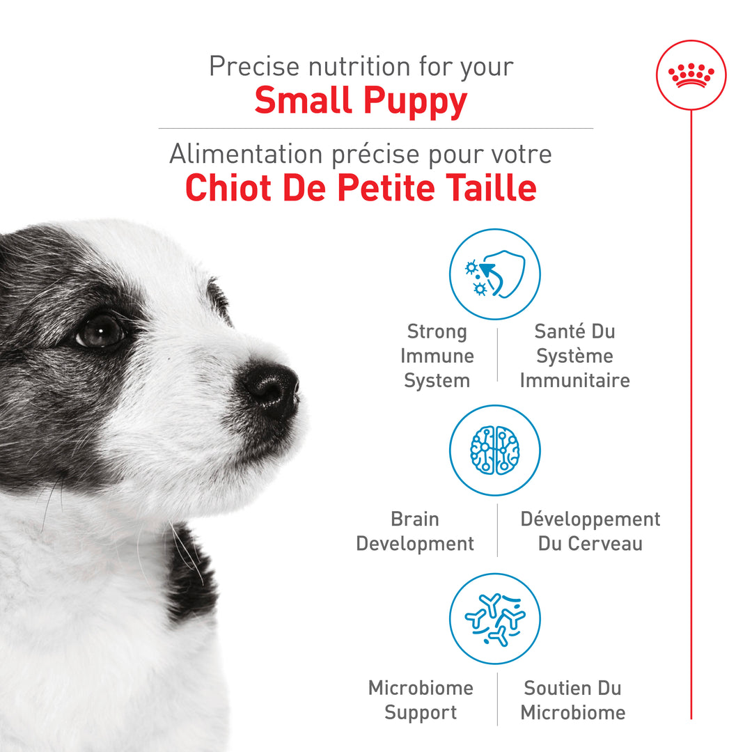 Royal Canin Chiot Nourriture Sèche Petit (2-12 mois)