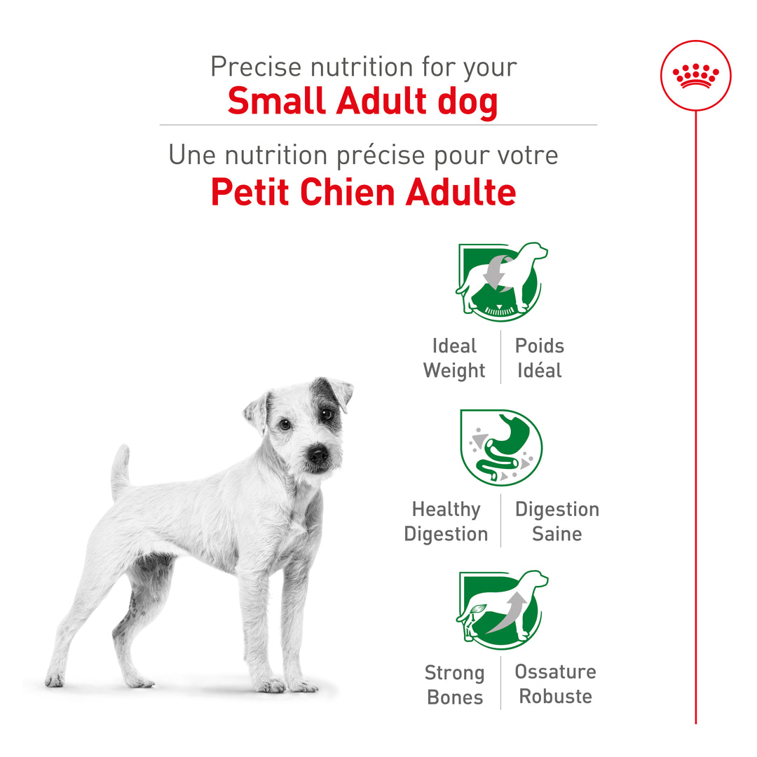 Royal Canin Chien Adulte Nourriture Sèche Petit