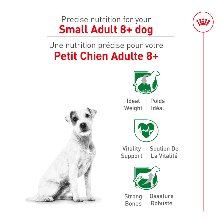 Royal Canin Chien Âgé Nourriture Sèche Petit 8+
