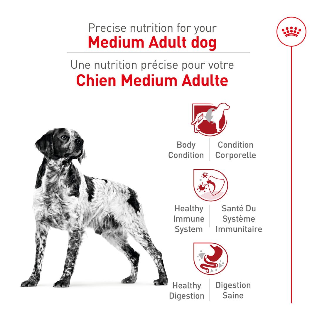 Royal Canin Chien Adulte Nourriture Sèche Moyen