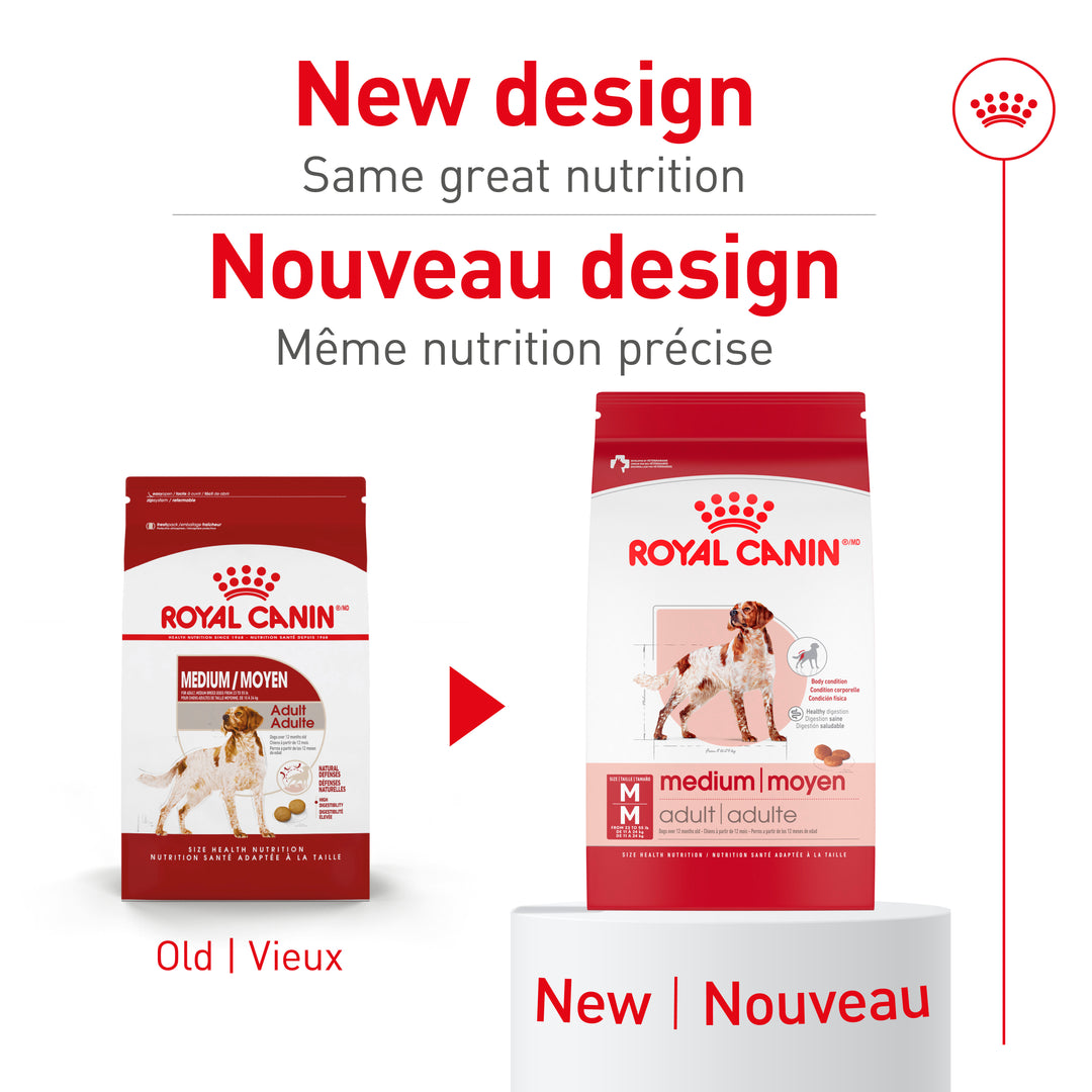 Royal Canin Chien Adulte Nourriture Sèche Moyen