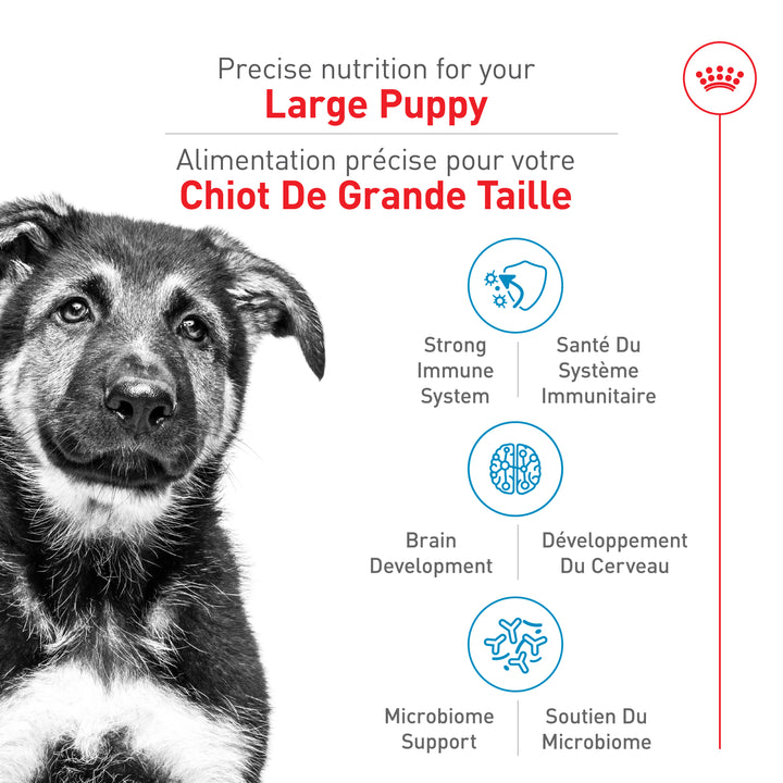 Royal Canin Chiot Nourriture Sèche Grand (2-15 mois)