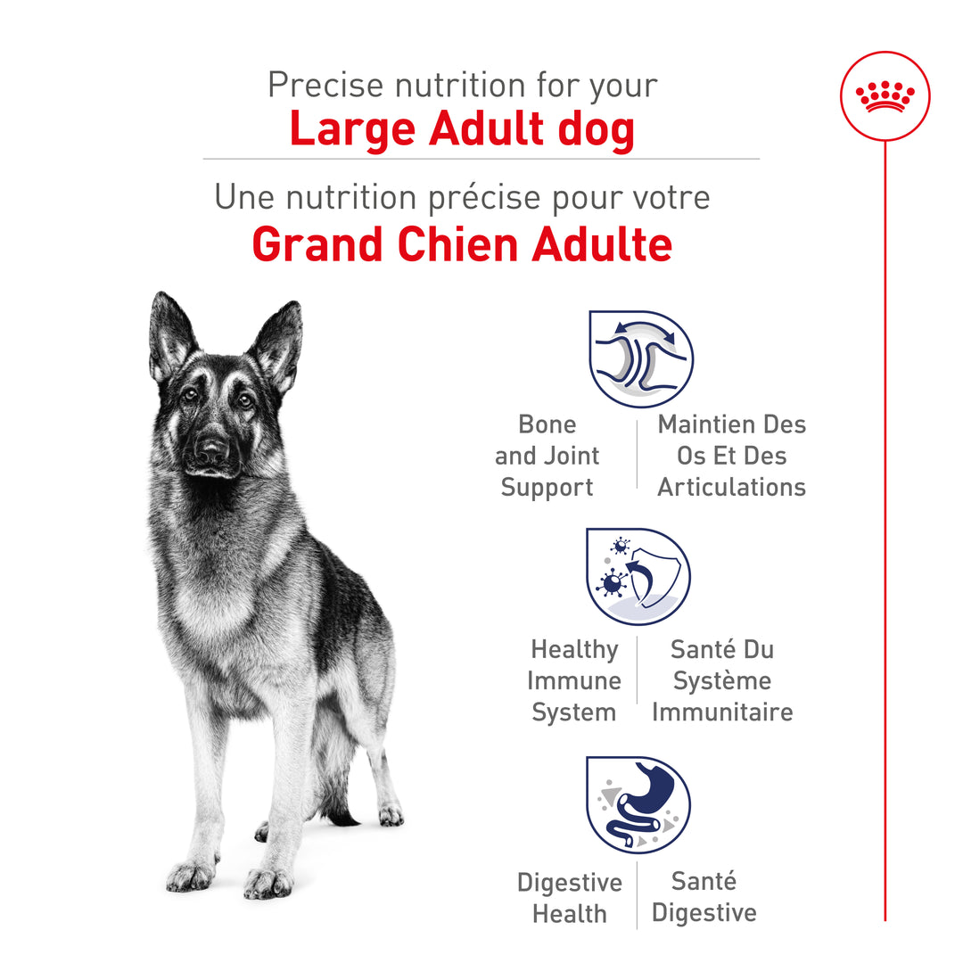 Royal Canin Chien Adulte Nourriture Sèche Grand