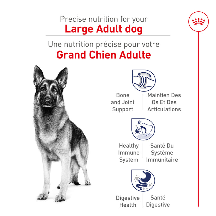 Royal Canin Chien Adulte Nourriture Sèche Grand