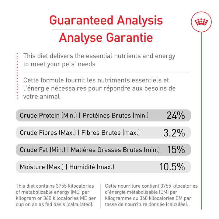 Royal Canin Chien Adulte Nourriture Sèche Grand