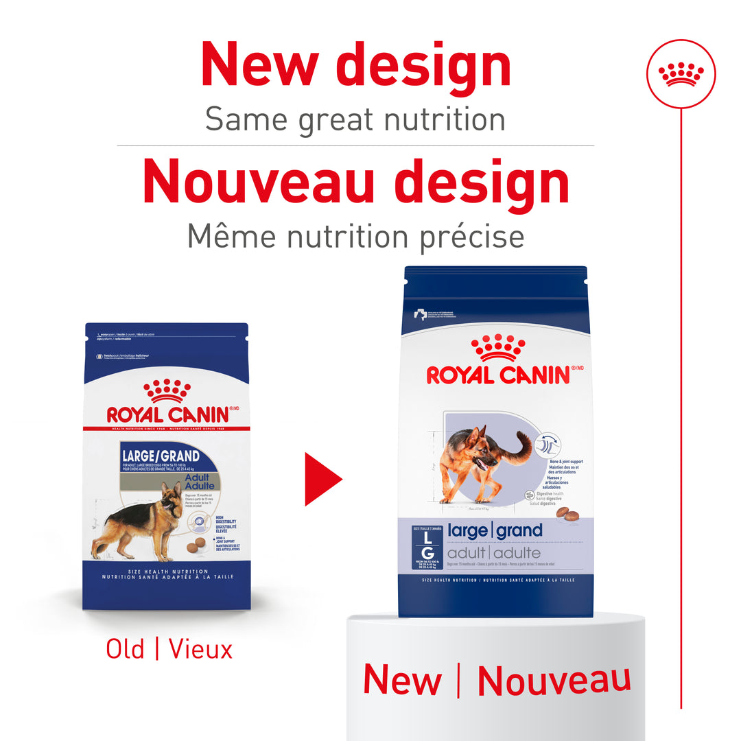 Royal Canin Chien Adulte Nourriture Sèche Grand