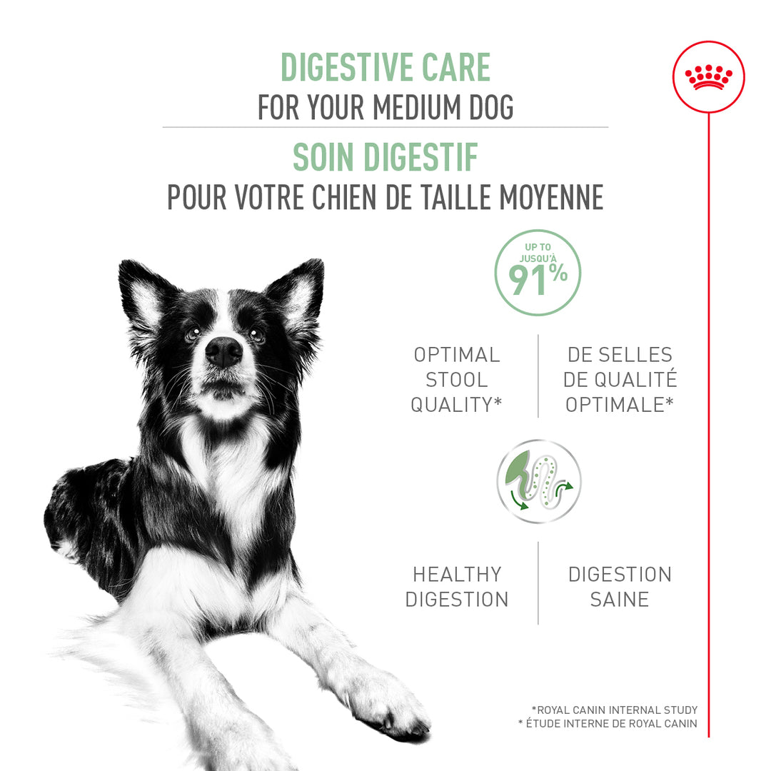 Royal Canin Chien Adulte Nourriture Sèche Moyen (Soin Digestif)