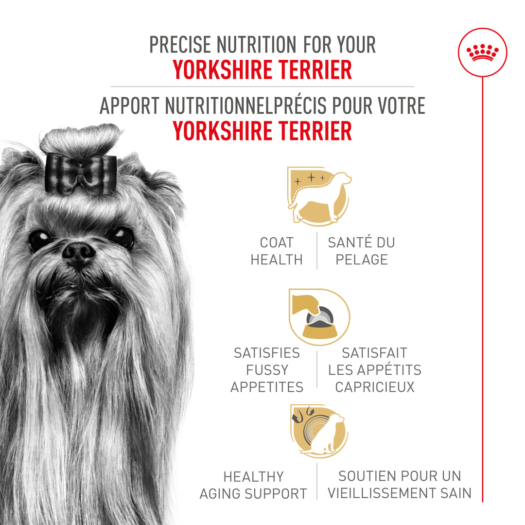 Royal Canin Chien Adulte Nourriture Sèche Yorkshire Terrier