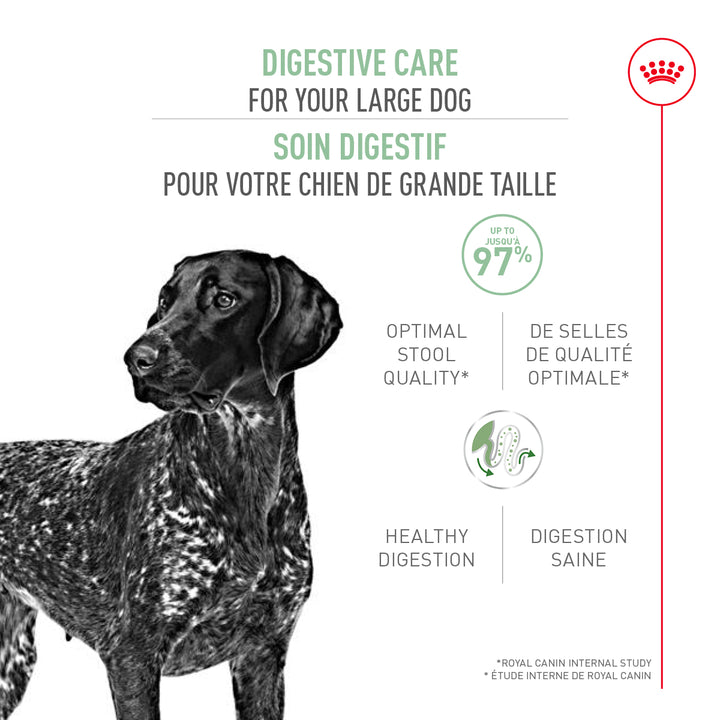 Royal Canin Chien Adulte Nourriture Sèche Grand (Soin Digestif)