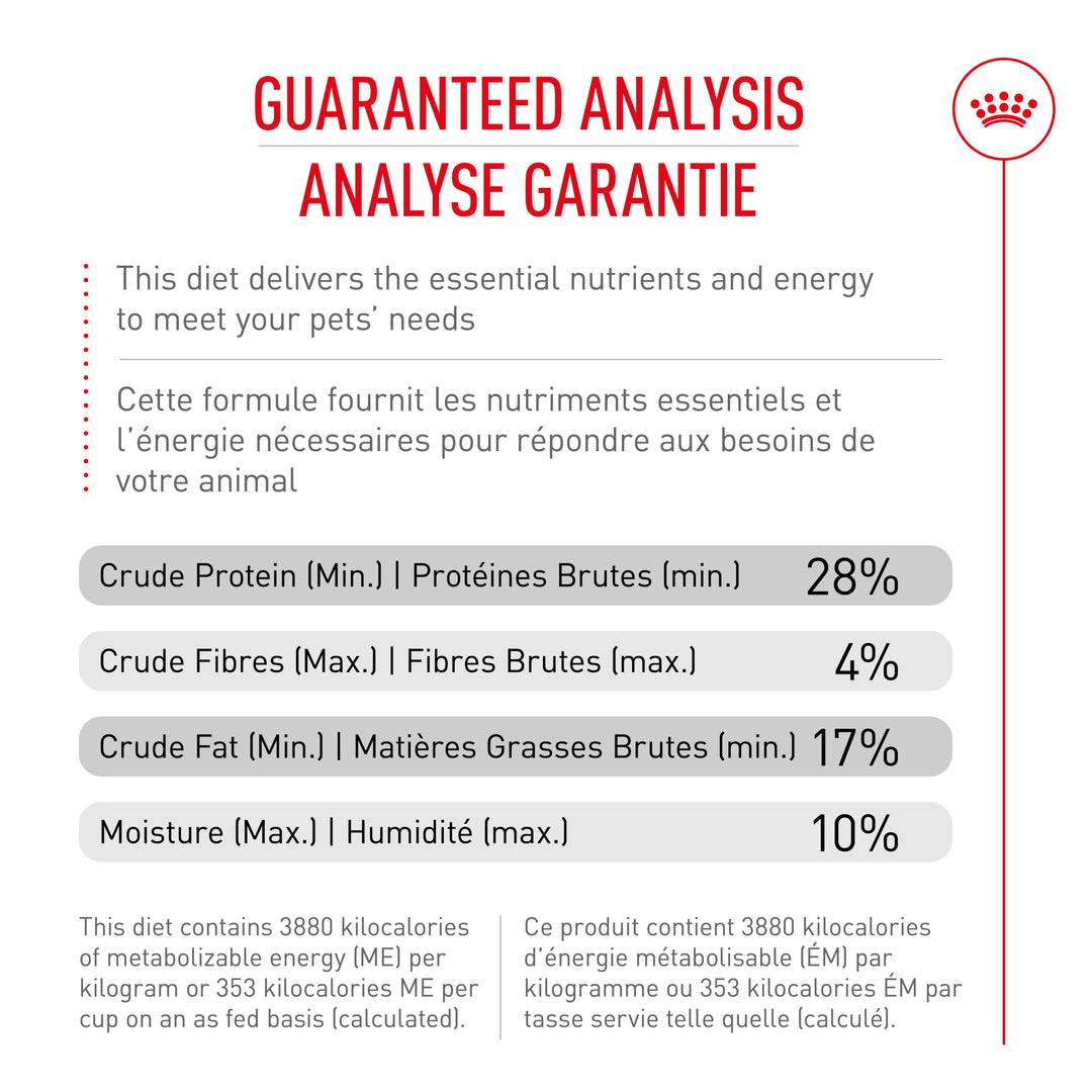 Royal Canin Chien Adulte Nourriture Sèche Caniche