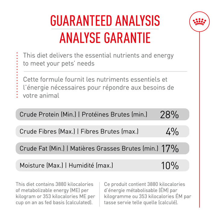 Royal Canin Chien Adulte Nourriture Sèche Caniche
