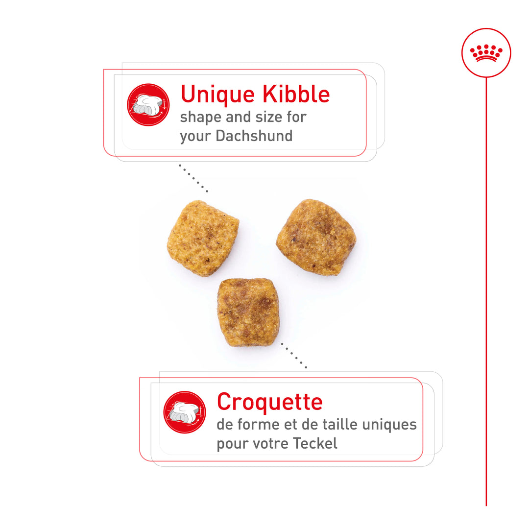 Royal Canin Chien Adulte Nourriture Sèche Teckel