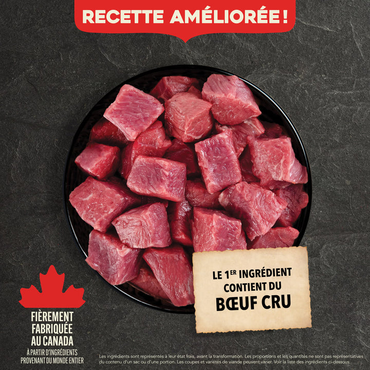 Classic Red Meat Dry Food for Adult Dogs