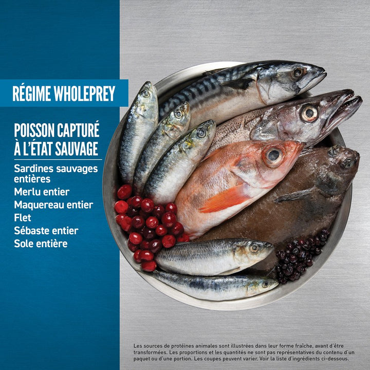 Product Image [animo-gallery:0572bd85-1dbf-4522-b8ad-8d9c2f856b98:5]