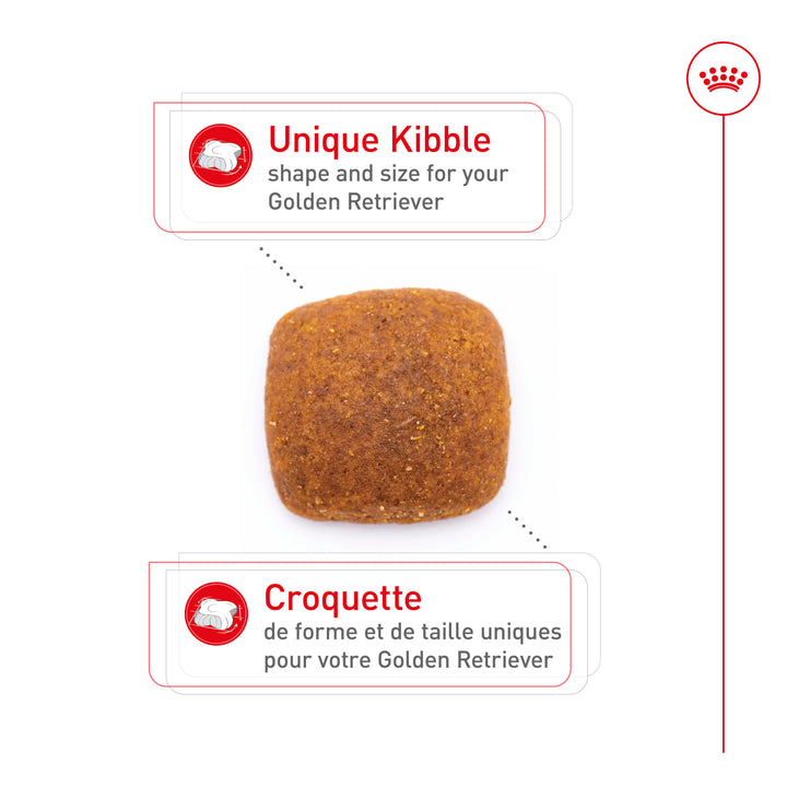 Royal Canin Chien Adulte Nourriture Sèche Golden Retriever